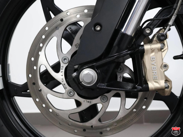 Foto Miniatura BMW G 310 GS 2024