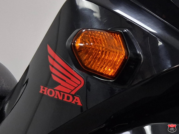 Foto Miniatura Honda POP 110i 2020