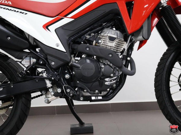 Foto Miniatura Honda XR 300L TORNADO 2025
