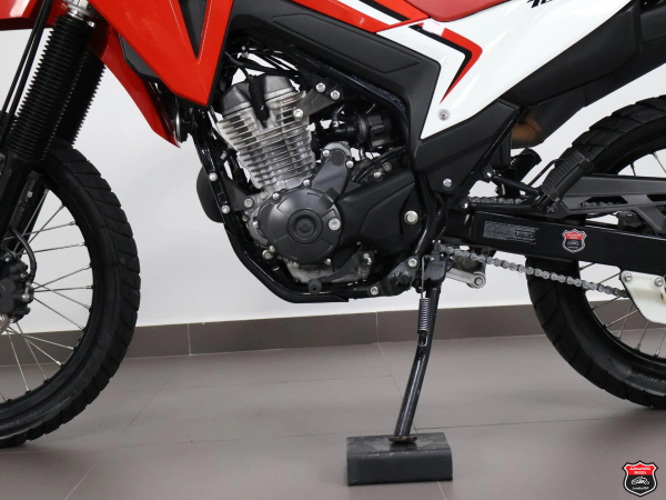 Foto Miniatura Honda XR 300L TORNADO 2025