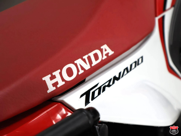Foto Miniatura Honda XR 300L TORNADO 2025