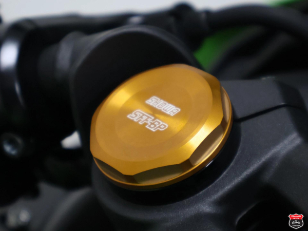 Foto Miniatura Kawasaki NINJA ZX-4R 2026