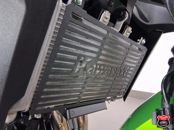 Foto Miniatura Kawasaki Z500 2025