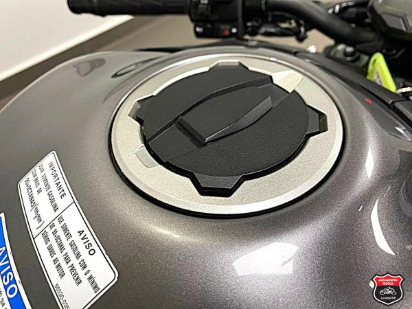 Foto Miniatura Kawasaki Z900 2023