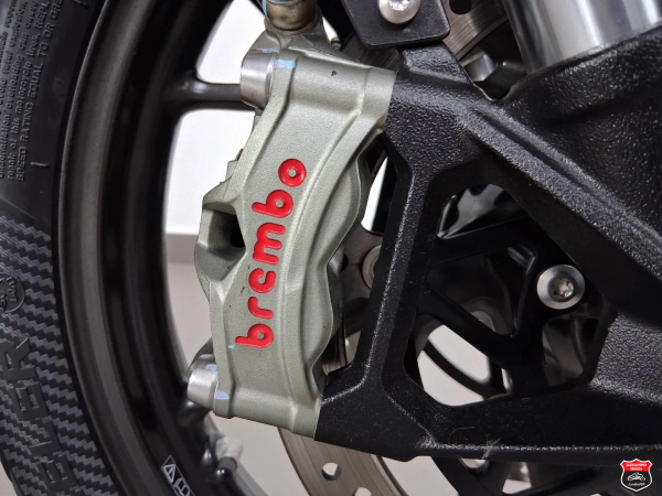 Foto Miniatura Triumph TIGER 900 GT PRO 2024