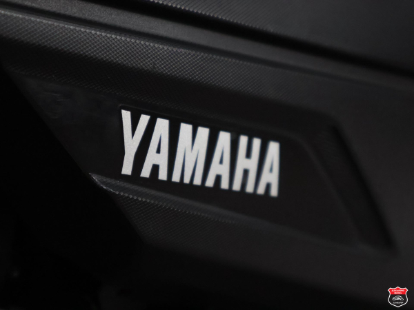 Foto Miniatura Yamaha FAZER YS 150 SED 2014